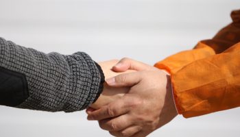 People Hand Male Handshake Man Ask Election Deal